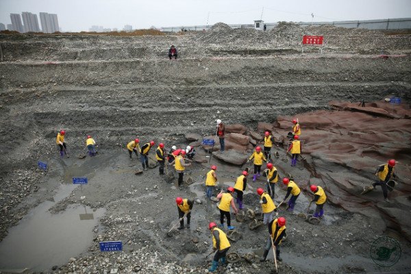 河南郑州一考古研究院学生掉入考古坑致骨折，这起事件给予了我们什么警示？
