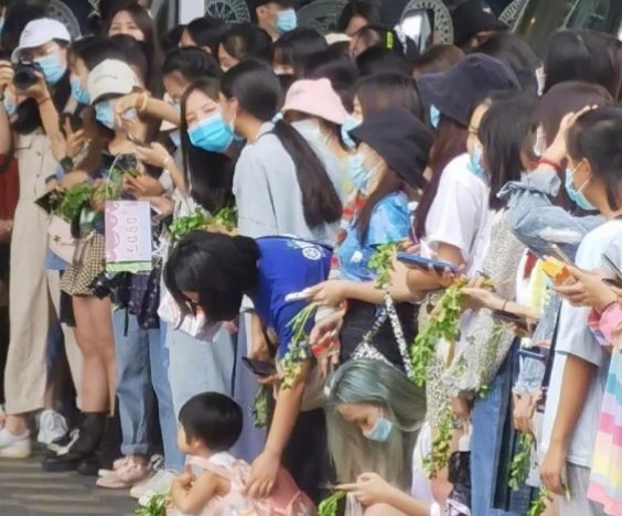 王一博粉丝为什么要拿香菜应援？