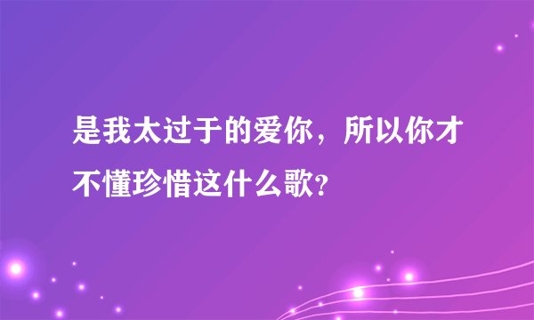 是我太过于的爱你，所以你才不懂珍惜这什么歌？