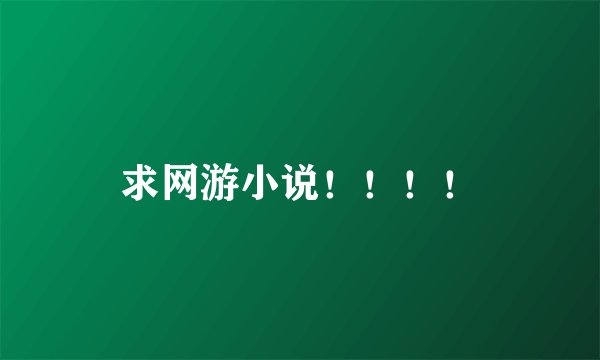 求网游小说！！！！
