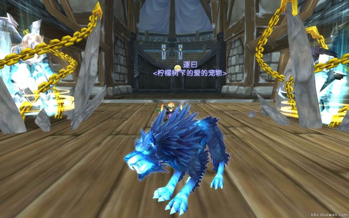 魔兽世界所有的灵魂兽坐标及刷新时间是什么？