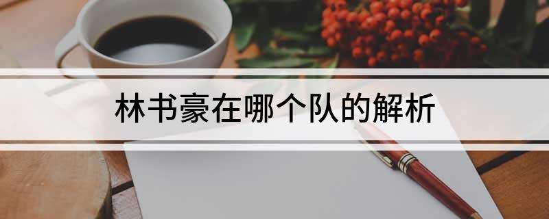 林书豪在哪个队的解析