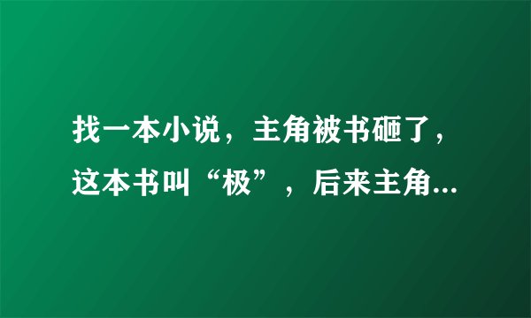 找一本小说，主角被书砸了，这本书叫“极”，后来主角进监狱了。