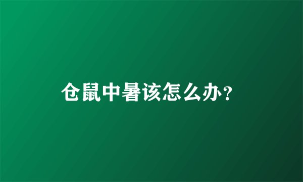 仓鼠中暑该怎么办？