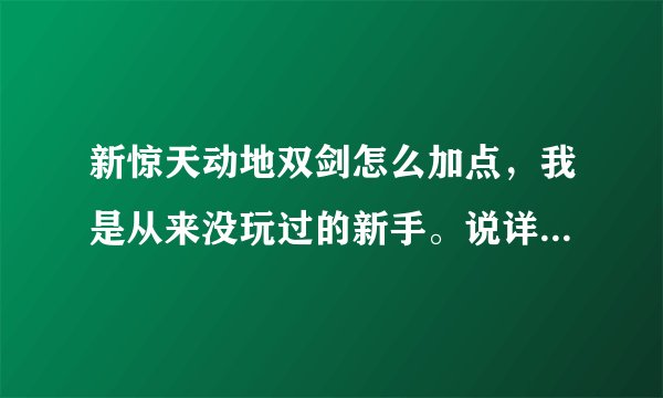 新惊天动地双剑怎么加点，我是从来没玩过的新手。说详细些刷FB怎么加，PK又怎么加？
