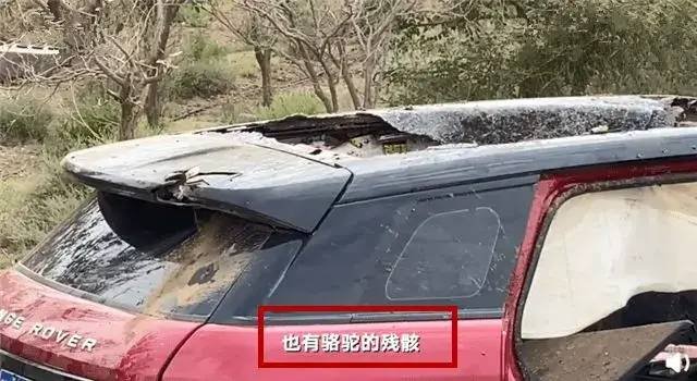 谢大脚的死亡原因