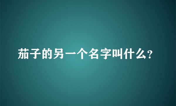 茄子的另一个名字叫什么？