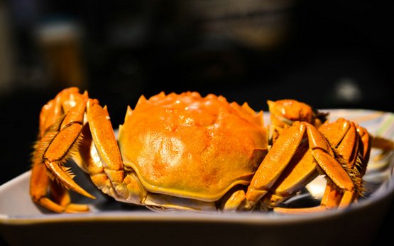 河蟹和海蟹那个好吃？