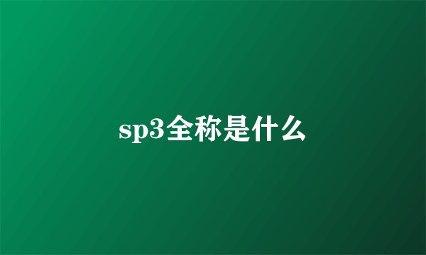 sp3全称是什么