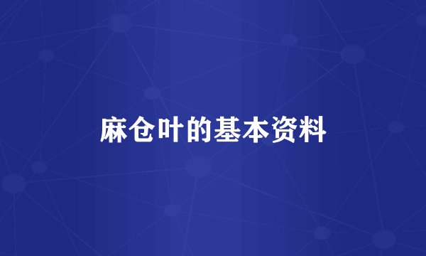 麻仓叶的基本资料