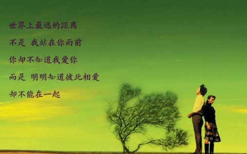 世界上最遥远的距离不是生与死的距离，而是我站在你面前你却不知道我爱你这句话的出处