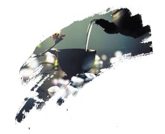 有关茶文化的知识