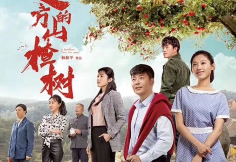 《远方的山楂树》大结局是?