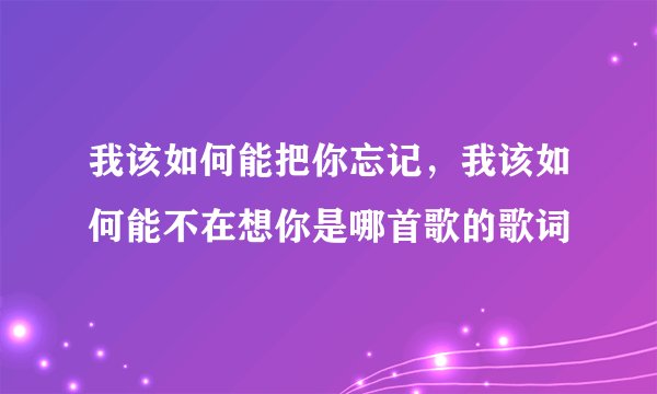 我该如何能把你忘记，我该如何能不在想你是哪首歌的歌词