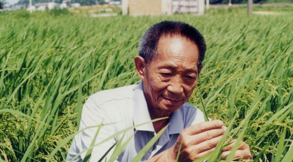 袁隆平是一个什么样的人？