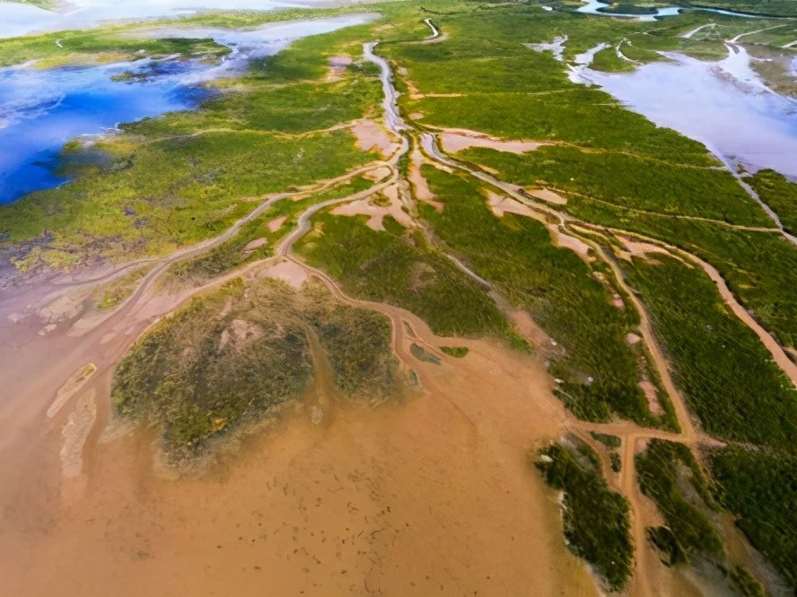 韩国滩涂申遗被联合国退回，你知道是什么原因吗？