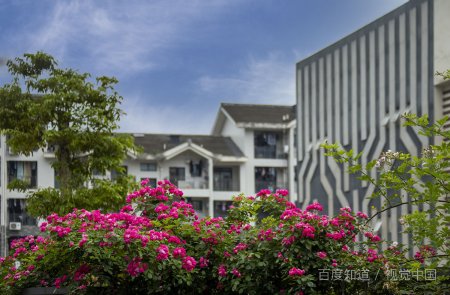 四川农业大学是一本还是二本呢？