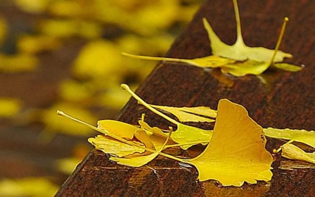 什么从什么写一句话怎么写？