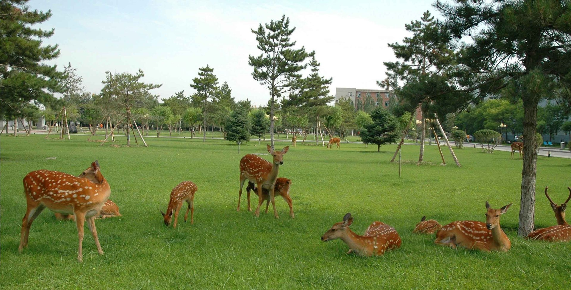 怎么看待苹果打败橙子成为太空水果？