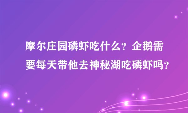 摩尔庄园磷虾吃什么？企鹅需要每天带他去神秘湖吃磷虾吗？