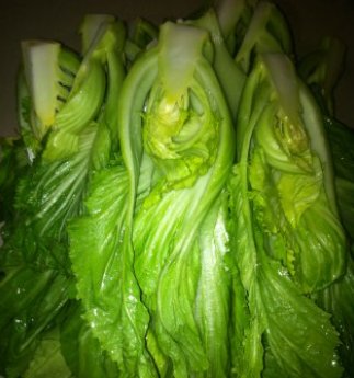 腌酸菜的正确方法应该怎么做？