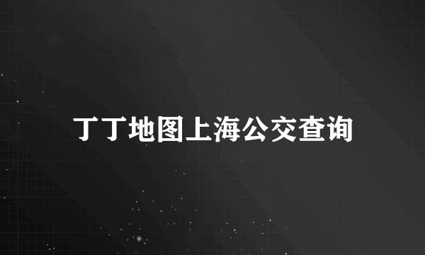 丁丁地图上海公交查询