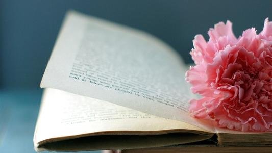 我是小学生。教师节快到了，我送花是只给语数英的老师送吗？还是各科老师都送？