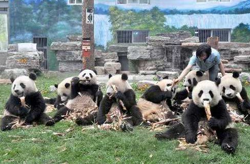 动物园的动物快活吗？