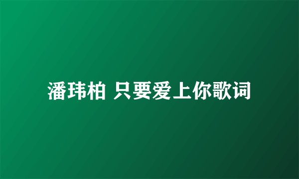 潘玮柏 只要爱上你歌词