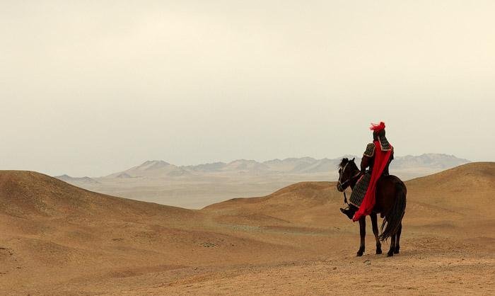 西出阳关无故人上一句全诗是什么?