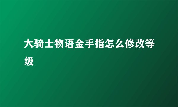 大骑士物语金手指怎么修改等级