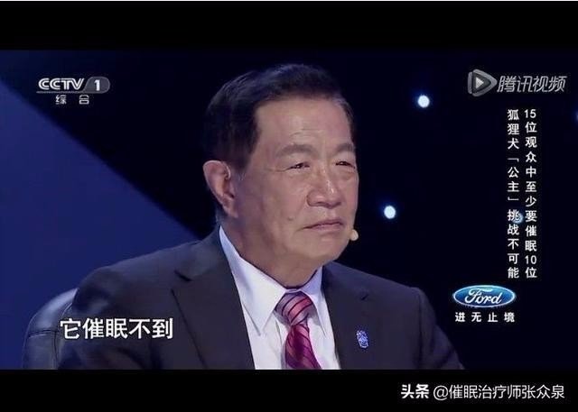 电视节目《挑战不可能》里为什么狐狸犬可以催眠人