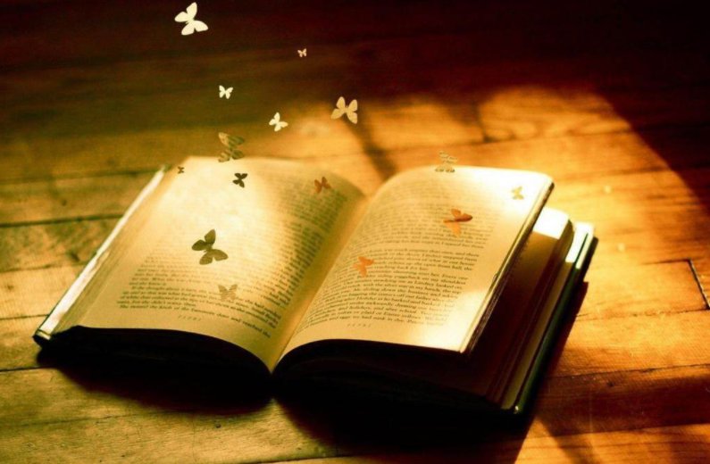 一本你喜爱的书就是什么也是什么?