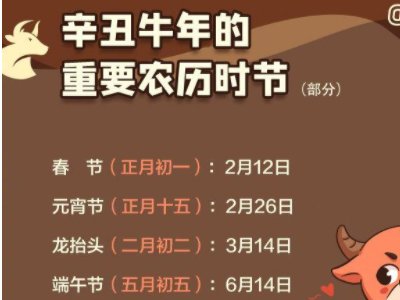 牛年只有354天，这是什么原因导致的？