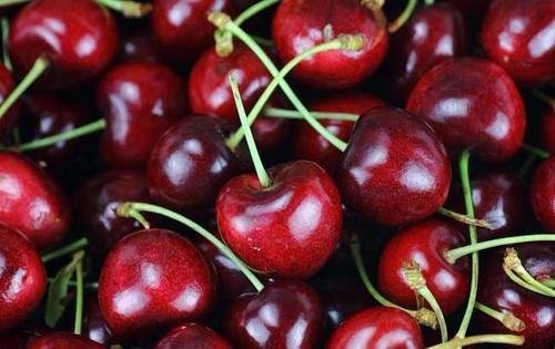 车厘子J级,JJ级,JJJ级,XL级代表什么意思?