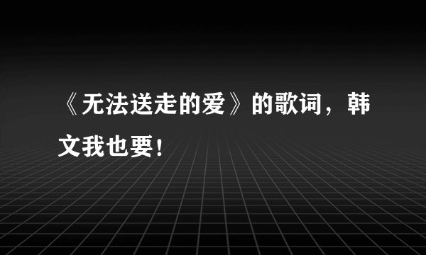 《无法送走的爱》的歌词，韩文我也要！
