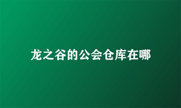 龙之谷的公会仓库在哪