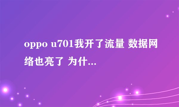 oppo u701我开了流量 数据网络也亮了 为什么就是上不了网？该怎么办？