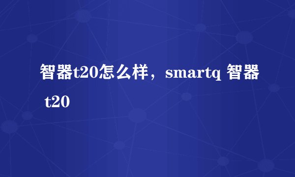 智器t20怎么样，smartq 智器 t20