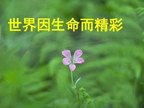 货拉拉女用户跳车事件调查结果公布，这件事情给我们敲响了什么警钟？