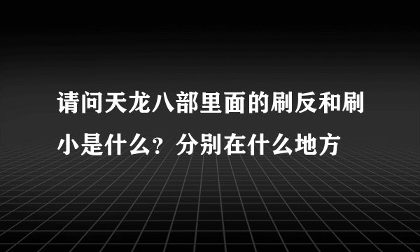 请问天龙八部里面的刷反和刷小是什么？分别在什么地方