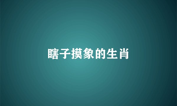 瞎子摸象的生肖