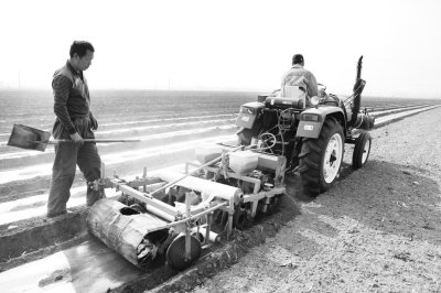 播种的方法有哪四种