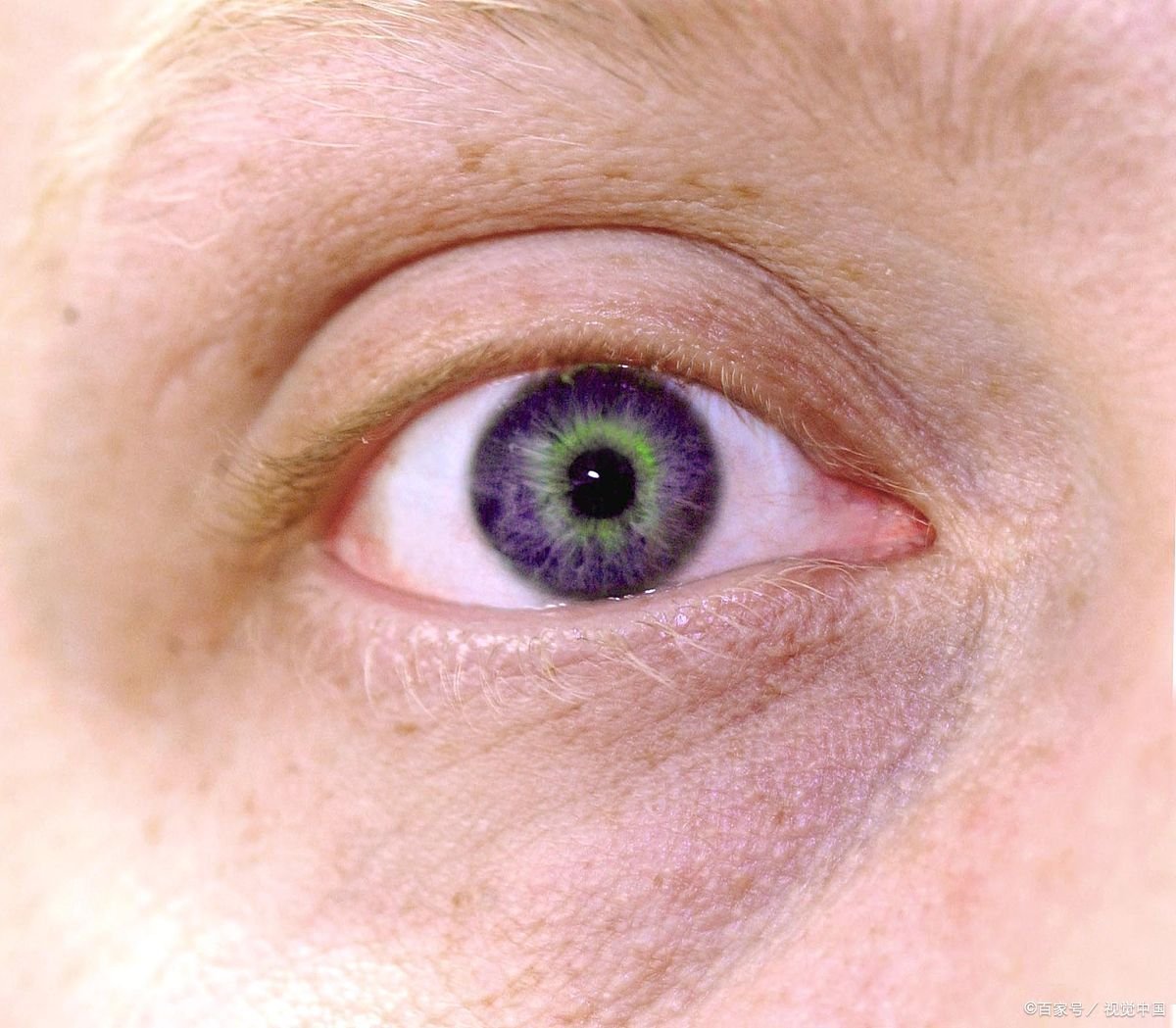 左眼皮跳是什么预兆风水学