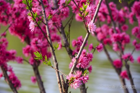 女朋友总是不原谅我怎么办