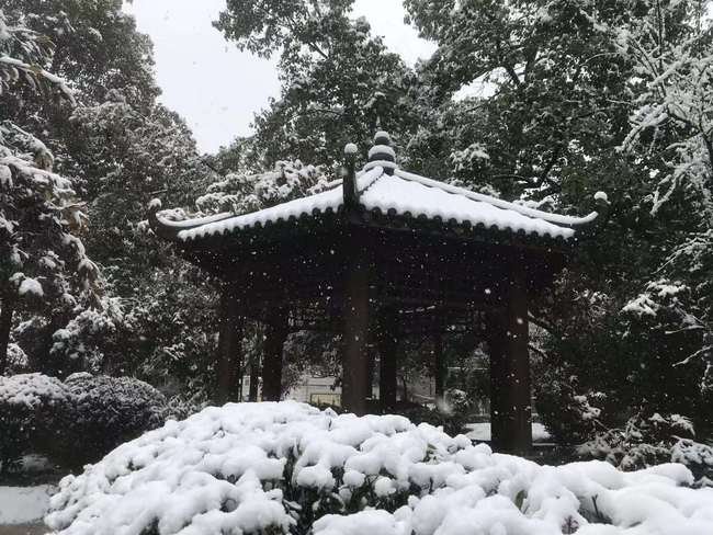 湖南有16个县市区暴雪，当地的气温情况如何？
