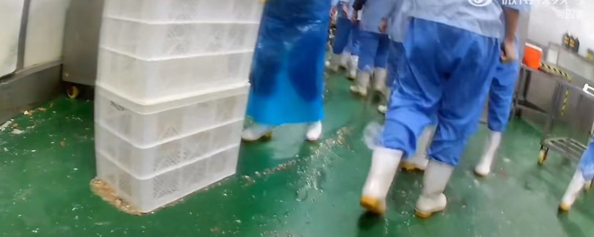 天津配餐事件是怎么回事？