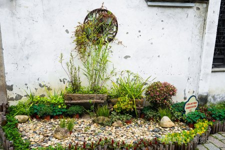 四川农业大学是一本还是二本呢？