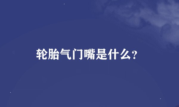 轮胎气门嘴是什么？