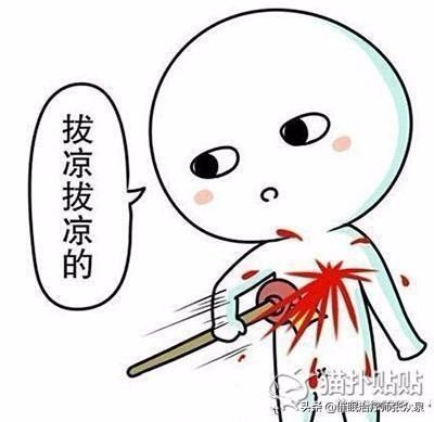 电视节目《挑战不可能》里为什么狐狸犬可以催眠人